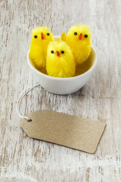 Pasen decoratie met chick beeldjes — Stockfoto