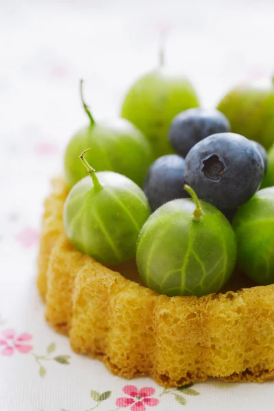 Close-up of blueberry and gooseberry — Stock Photo, Image