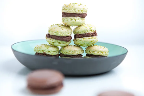 Pisztácia macaroons lemez — Stock Fotó