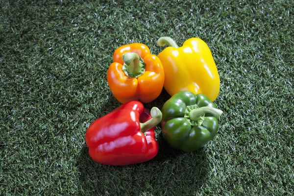 Cor Pimentos de pápricas — Fotografia de Stock