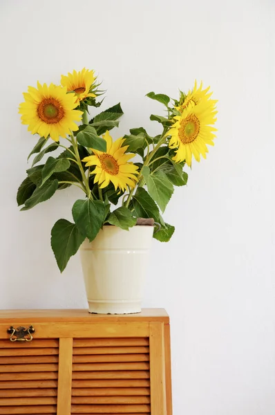 Sunflowers in flowerpot on  cupboard — Stock Photo, Image