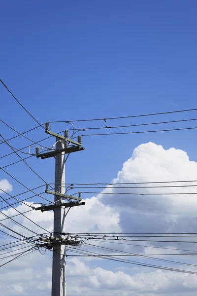 Auckland, elektrik, elektrik pilon — Stok fotoğraf