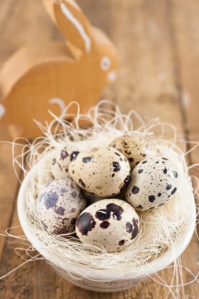 Перепелиные яйца на соломе — стоковое фото