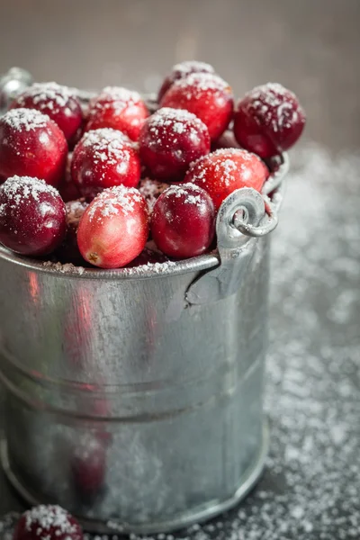 Cranberries with sugar powder — Stock Photo, Image