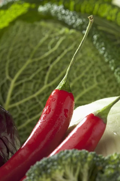 Vista de perto dos vegetais — Fotografia de Stock