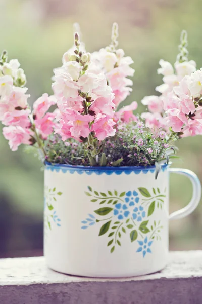 Snapdragon flowers in a flowerpot — Stock Photo, Image