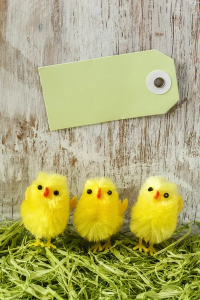 Pasen decoratie met chick beeldjes — Stockfoto