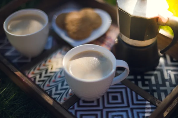 Picknick, café y galletas Imagen De Stock