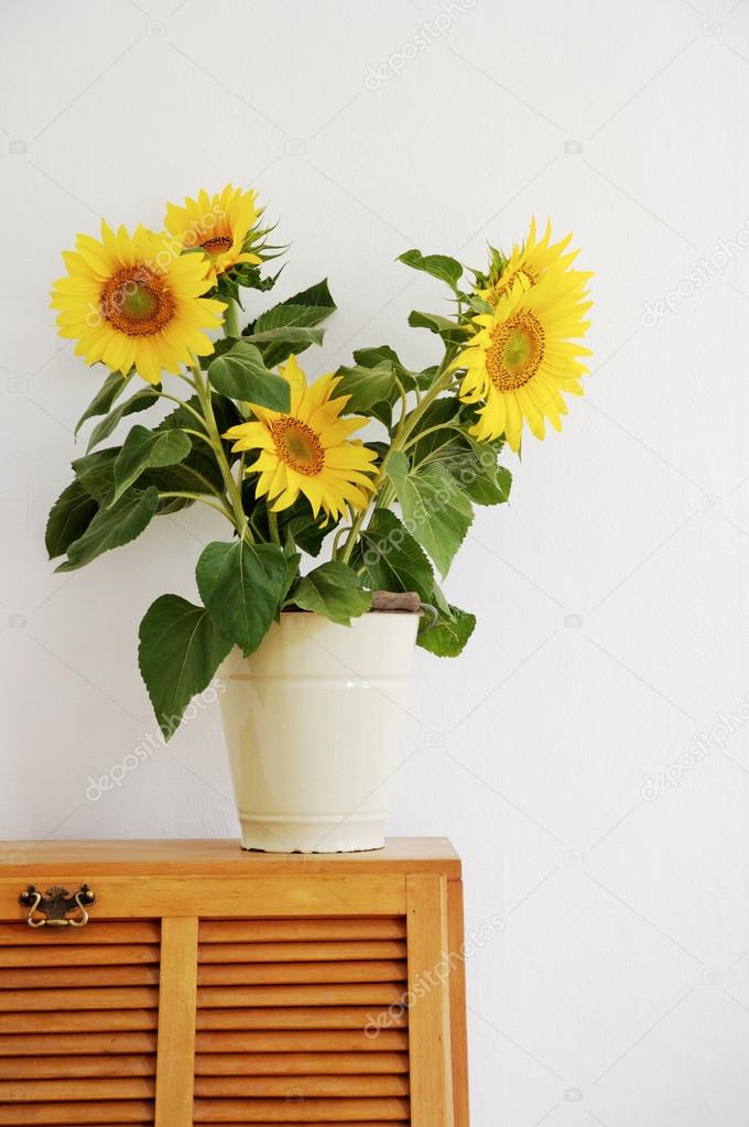 Sunflowers in flowerpot on  cupboard