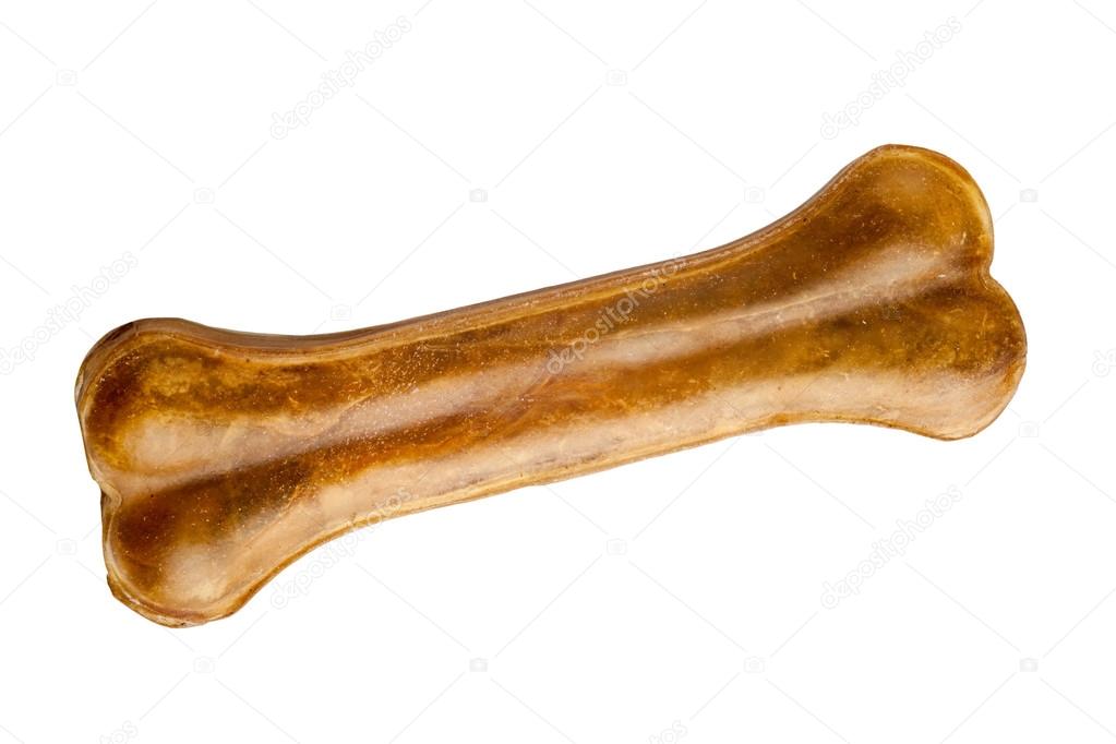 Brown dog bone