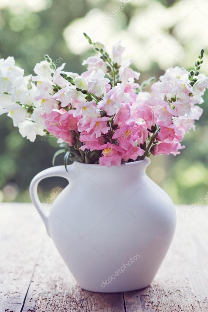 Snapdragon flowers in a white