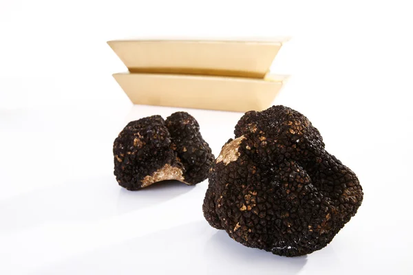 Black Truffle and gold bars — Stock Photo, Image