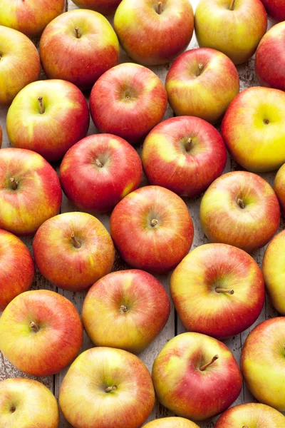 Veel rode appels — Stockfoto