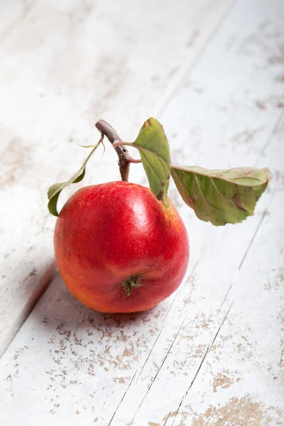 Органическое красное яблоко — стоковое фото