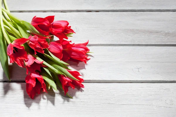 Пучок червоних тюльпанів — стокове фото