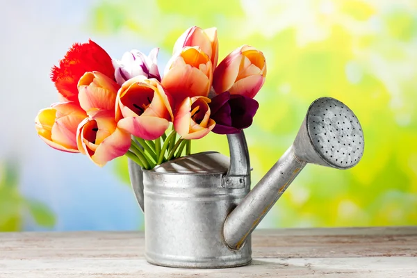 Bouquet of tulips in watering can — Stock Photo, Image