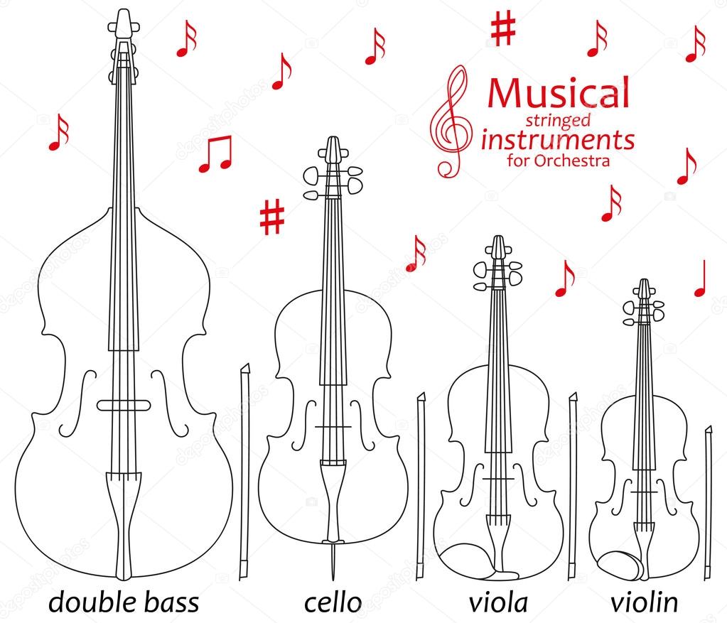 Set of line icons. Musical stringed instruments for orchestra. Info graphic elements. Simple design. Good for coloring books. Vector illustration