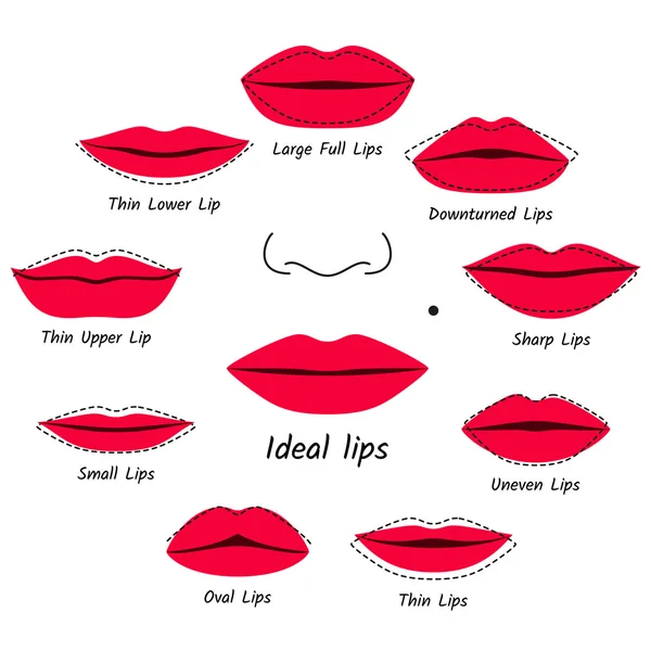 Maquiagem corretiva para lábios. Ilustração vetorial —  Vetores de Stock