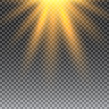 Vektör şeffaf güneş ışığı
