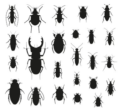 Siluet böcek kümesi üzerinde beyaz izole. Vektör çizim.