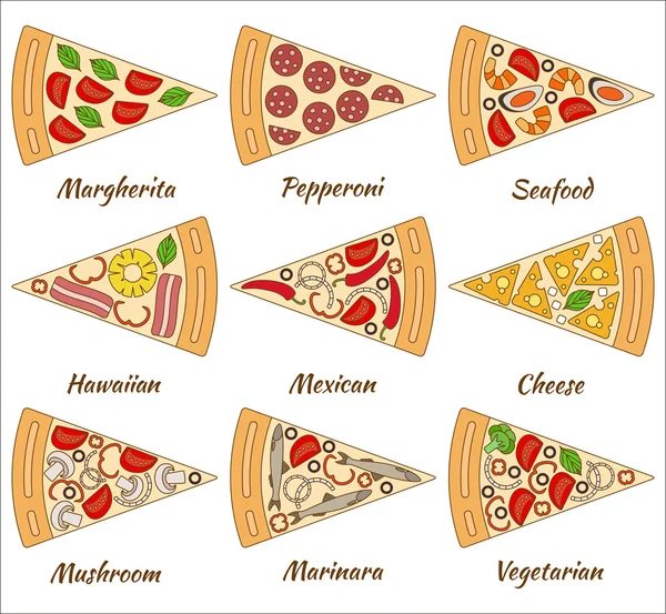Set of pizza pieces. Vector illustration. — Stock Vector