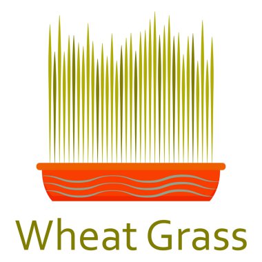 Süper yiyecek simgesi. Buğday otu. Vektör çizim.