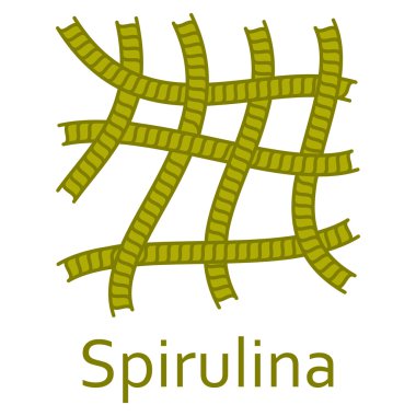Süper yiyecek simgesi. Spirulina. Vektör çizim.