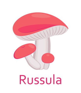 Yenilebilir mantar düz simgesi. Russula. Vektör çizim.