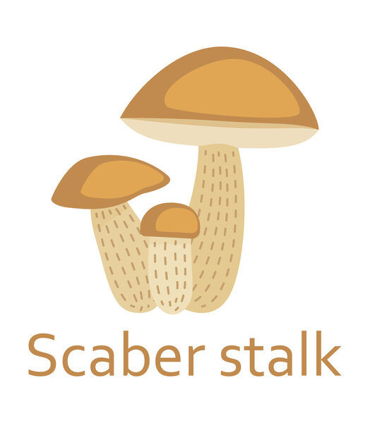 Edible mushrooms flat icon. Scaber stalk. Vector illustration.