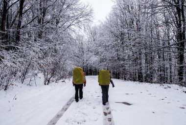 kız ve oğlan karla ormana gitmek