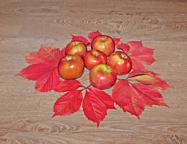 Kırmızı yaprakları ve elma parthenocissus sonbahar çerçeve — Stok fotoğraf