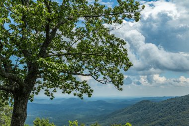 Blue Ridge görüntüle