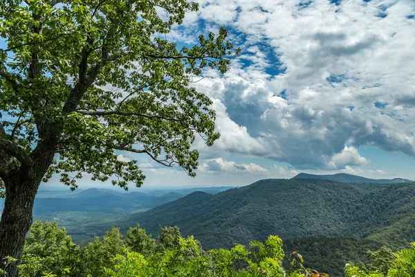 Vista de Blue Ridge — Foto de Stock