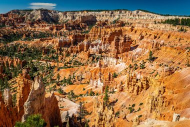 Utah 'taki Bryce Canyon Ulusal Parkı' nda Hoodoo ve aşınmış uçurum oluşumları..
