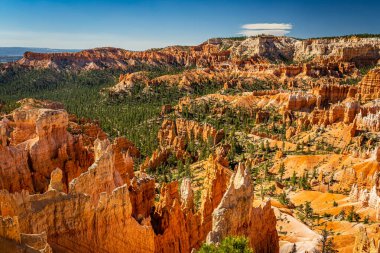 Utah 'taki Bryce Canyon Ulusal Parkı' nda Hoodoo ve aşınmış uçurum oluşumları..