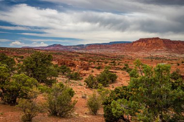 Kanyonlar ve aşınmış kumtaşı oluşumları Utah 'taki Capitol Resifi Ulusal Parkı' nda hakim konumdadır..