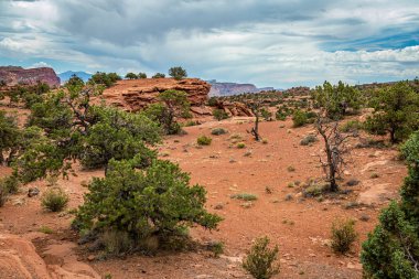 Kanyonlar ve aşınmış kumtaşı oluşumları Utah 'taki Capitol Resifi Ulusal Parkı' nda hakim konumdadır..