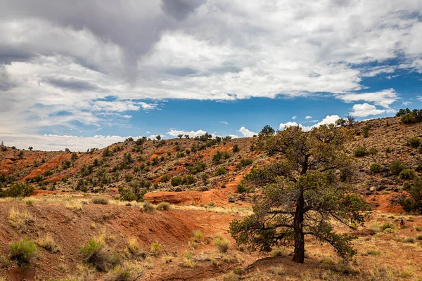 Kanyonlar Aşınmış Kumtaşı Oluşumları Utah Taki Capitol Resifi Ulusal Parkı — Stok fotoğraf