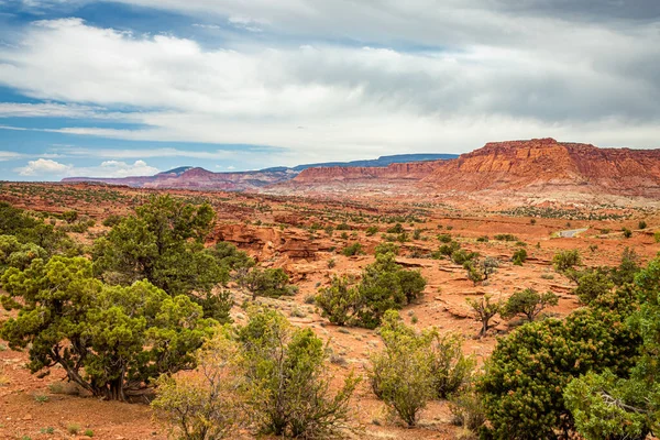 Canyon Formazioni Erose Arenaria Calcare Dominano Paesaggio Del Capitol Reef — Foto Stock