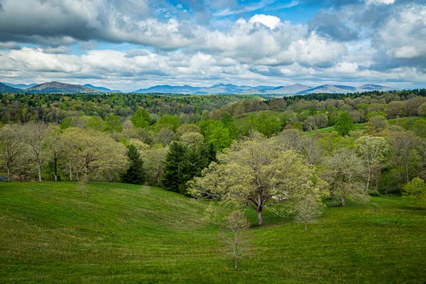 Asheville Usa 2018 Gardens Grounds Biltmore Estate Asheville North Carolina — 스톡 사진