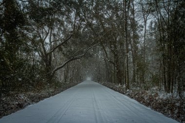 Bir kar fırtınası güneydoğuyu örtüyor..
