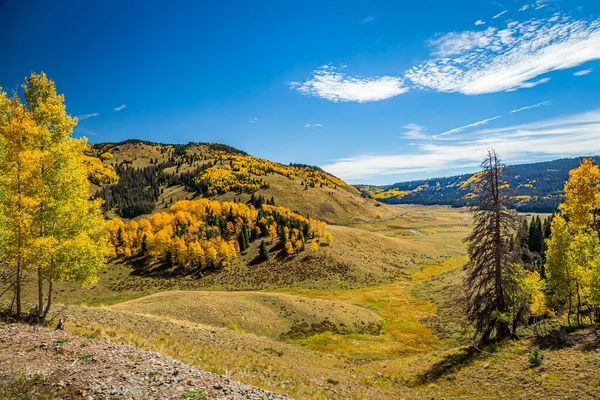 Hermoso Paisaje Montaña Con Arroyos Valles Árboles Que Cambian Color —  Fotos de Stock