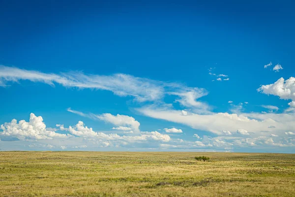 Prairies Ecosystems Considered Part Temperate Grasslands Savannas Shrublands Biome Ecologists — Stock fotografie