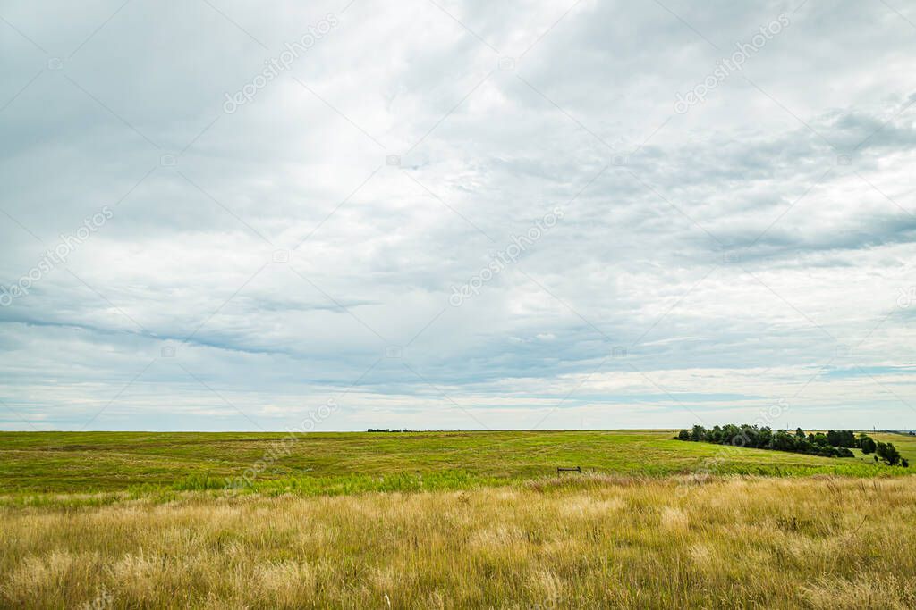 Prairies are ecosystems considered part of the temperate grasslands, savannas, and shrublands biome by ecologists, based on similar temperate climates, moderate rainfall, and a composition of grasses, herbs, and shrubs, rather than trees, as the domi