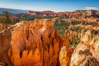 Utah 'taki Bryce Canyon Ulusal Parkı' nda Hoodoo ve aşınmış uçurum oluşumları..