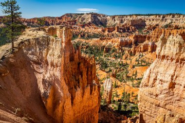 Utah 'taki Bryce Canyon Ulusal Parkı' nda Hoodoo ve aşınmış uçurum oluşumları..