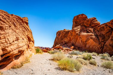 Ateş Eyaleti Parkı Clark County, Nevada 'da yer almaktadır ve 40.000 dönümden fazla açık kırmızı kumtaşı arazisi gri ve bronz kireç taşı yatakları ile çarpıcı bir tezat oluşturmaktadır..