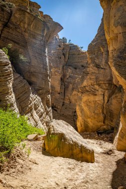 Lick Wash, Utah Kane County 'deki Grand Staircase-Escalante Ulusal Anıtı' ndaki ani sel baskınlarından dolayı kaya duvarlarının aşınmasıyla oluşmuş bir kanal..