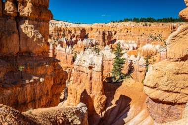 Utah 'taki Bryce Canyon Ulusal Parkı' nda Queen 's Garden ve Navajo Döngü yürüyüş yolları boyunca serseriler ve aşınmış kumtaşı oluşumları..