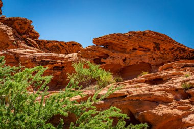 Ateş Eyaleti Parkı Clark County, Nevada 'da yer almaktadır ve 40.000 dönümden fazla açık kırmızı kumtaşı arazisi gri ve bronz kireç taşı yatakları ile çarpıcı bir tezat oluşturmaktadır..